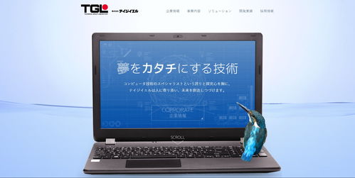 TGL帝技爺如 在計算機軟硬件交織中的游戲征途